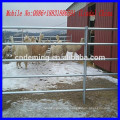 horse fencing ( factory & exporter )